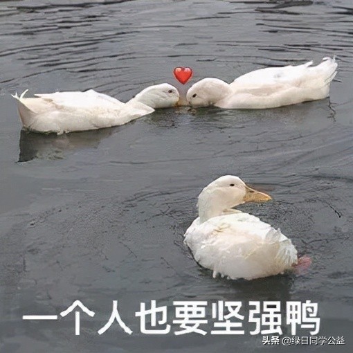 小天使们与“单身汉”“约会”了——记红色文化小天使慰问消防救援员