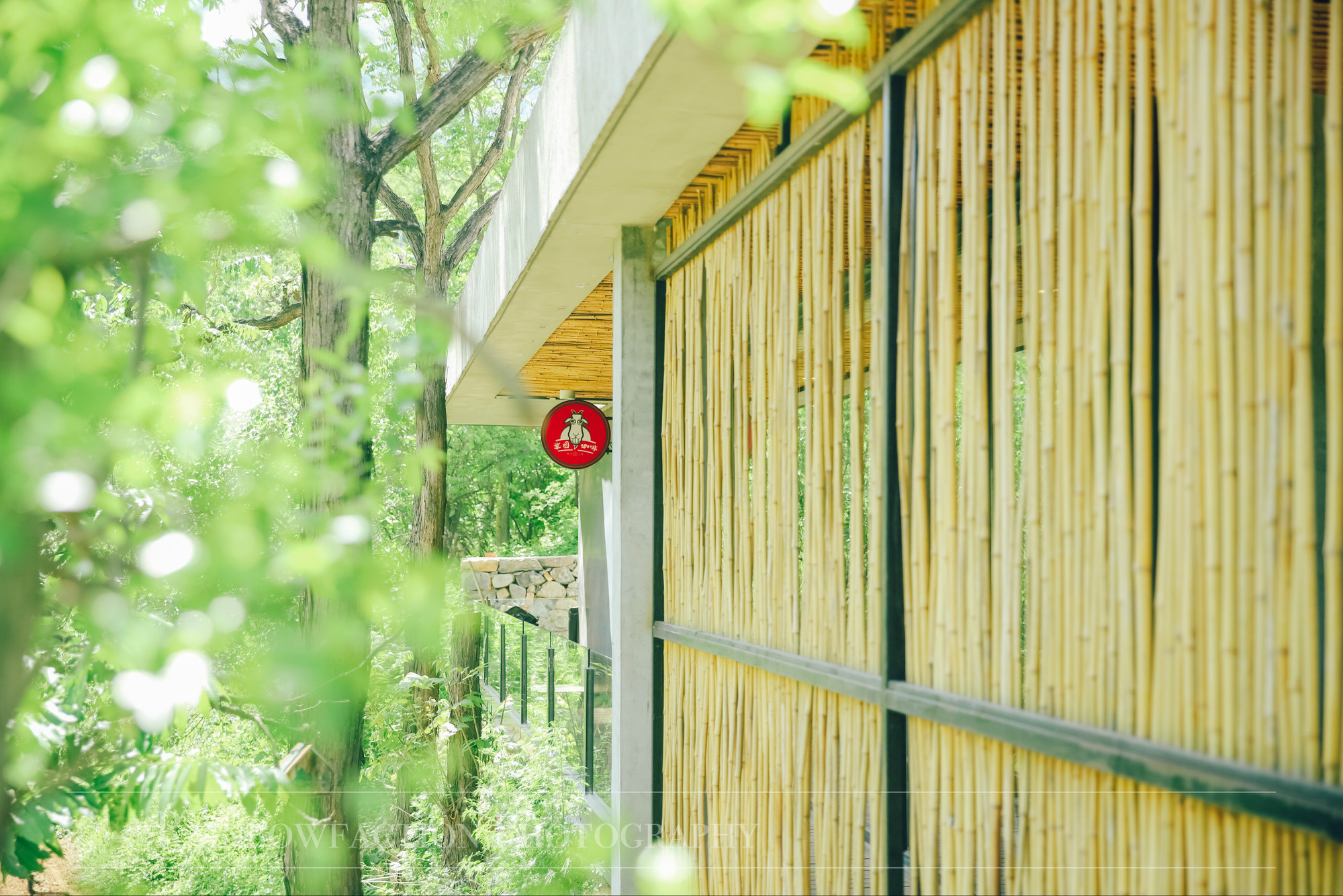 北京周边夏日玩水好去处！在麻麻花的山坡做一场关于夏天的梦