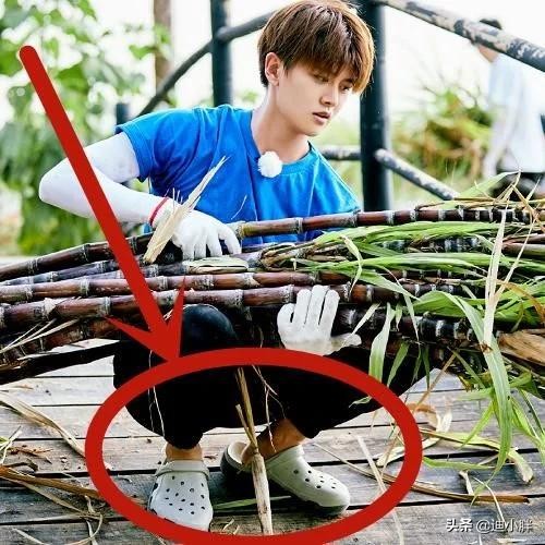 任嘉伦在《向往》下地干活时，谁看到他穿的鞋