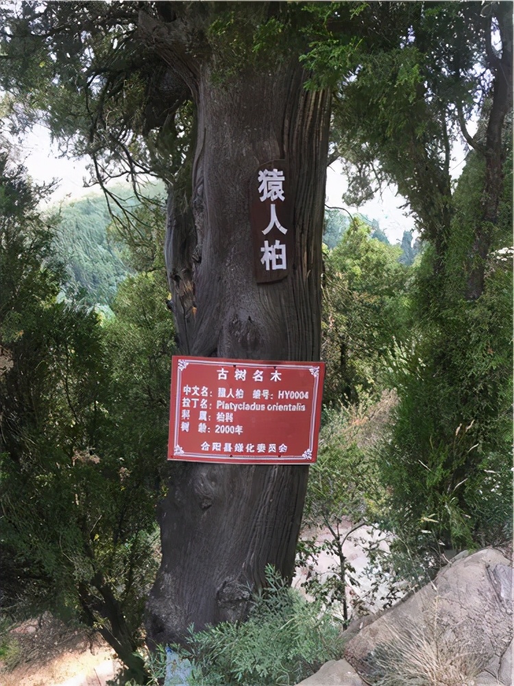 合陽(yáng)縣這些景區(qū)你知道多少？
