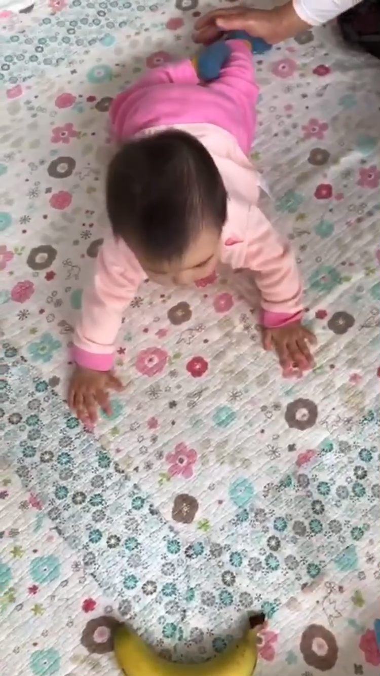 楊怡曬女兒近況，9個月小珍珠努力學爬，胡杏兒都忍不住拍手稱讚