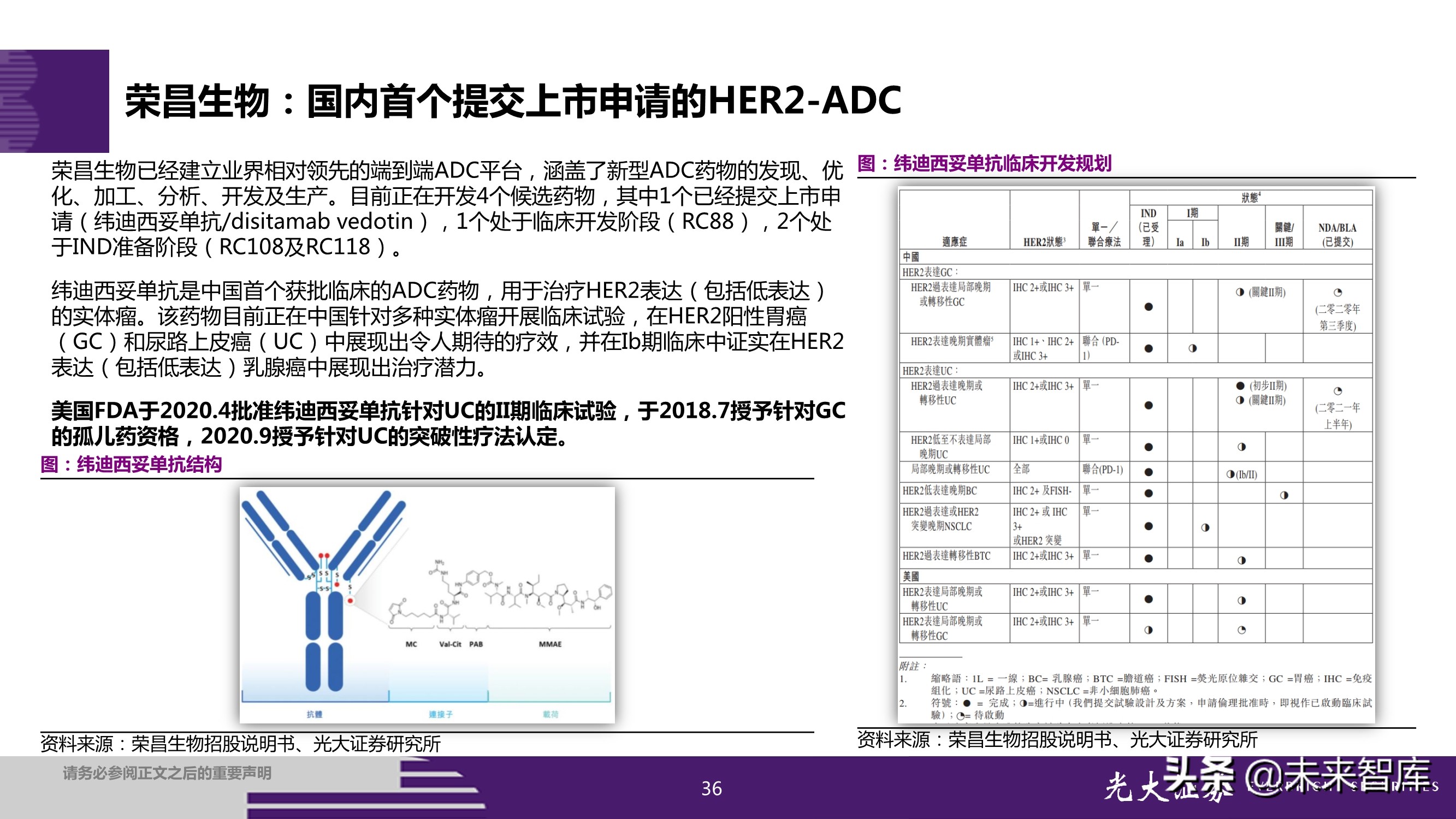抗体偶联药物ADC投资研究：行业风起云涌，差异化竞争是关键