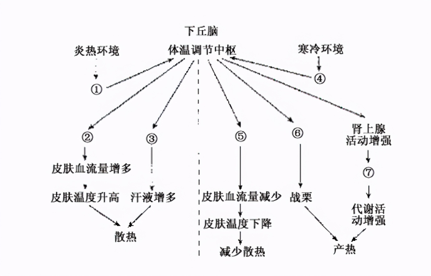 不足37℃！科学家发现人体温度正在下降，原因是什么？