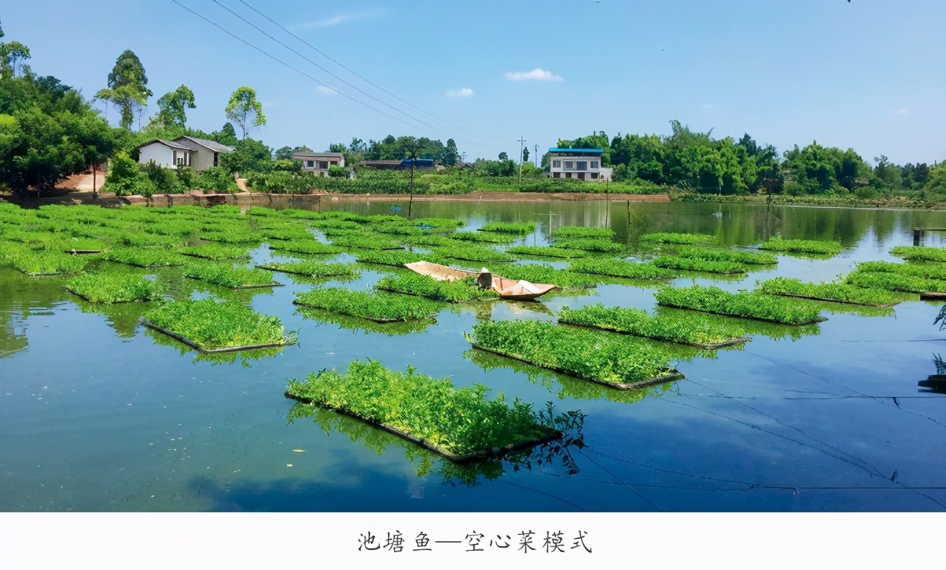 干旱地区鱼菜共生生态种养技术