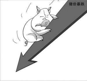猪肉进入“降价时代”？价格连续下跌，释放什
