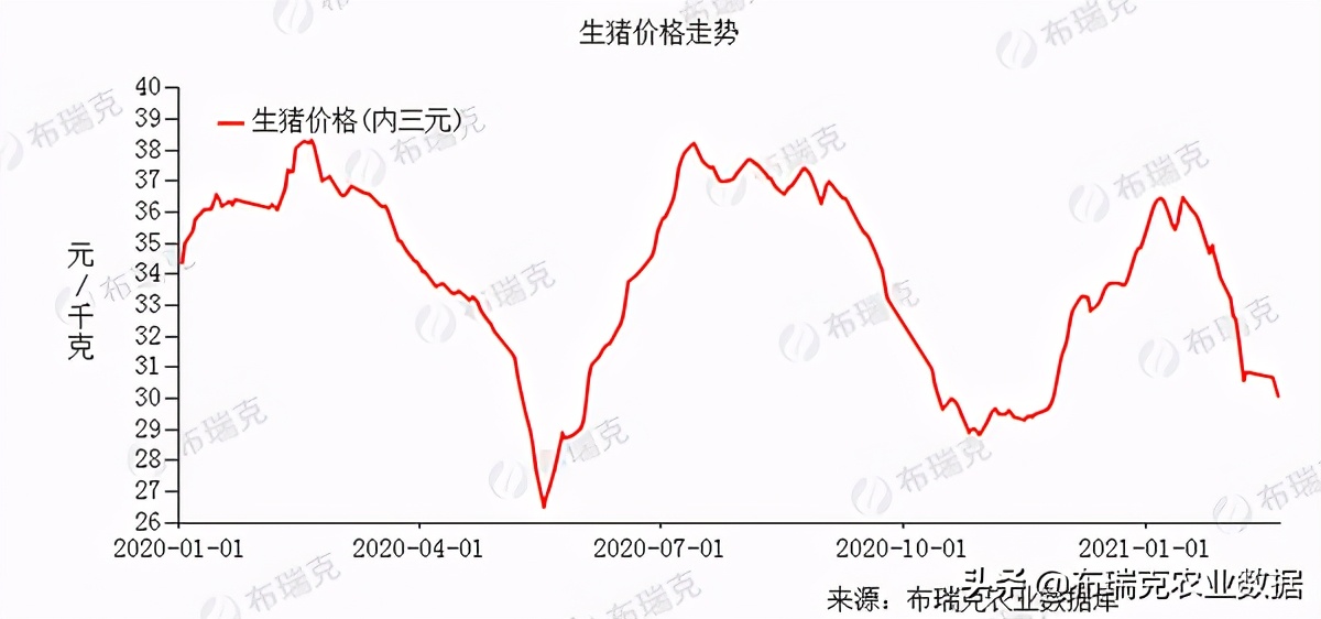 2021年：平和心，把猪养好
