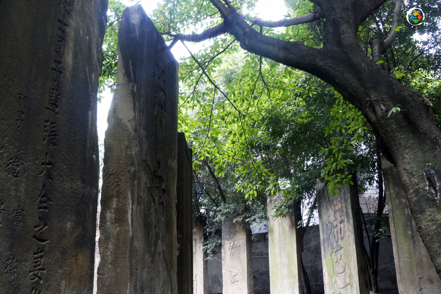 重庆大坪七牌坊的牌坊在哪里？只有19块石碑，还被藏在闹市中心