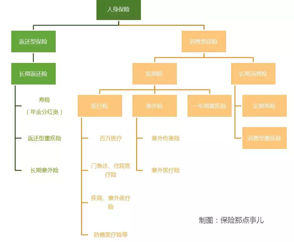 10分钟看懂，保险小白需收藏的入门知识 第3张