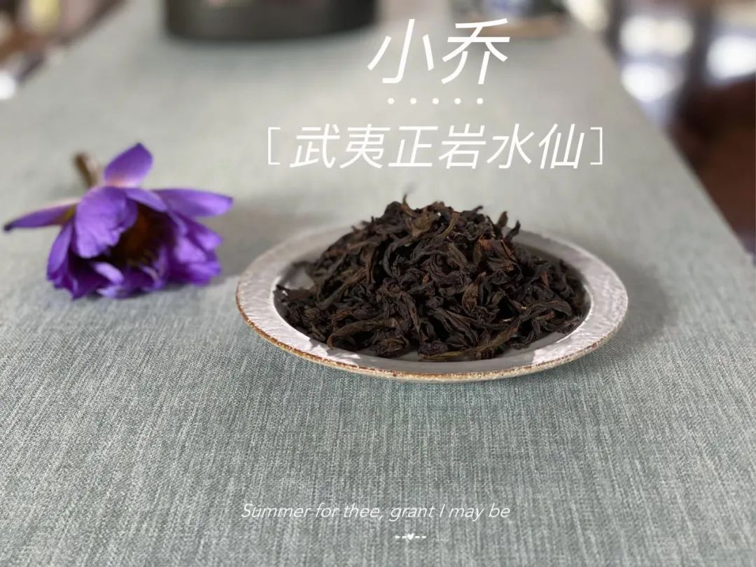 《铜雀台》，一本对比着喝懂水仙、喝懂新茶与陈茶的“工具书”