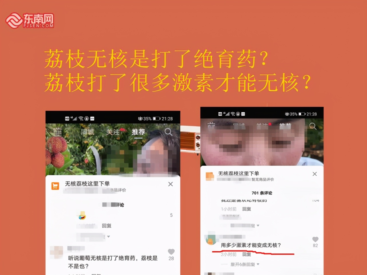 无核荔枝是转基因？荔枝打了很多激素才变得无核？