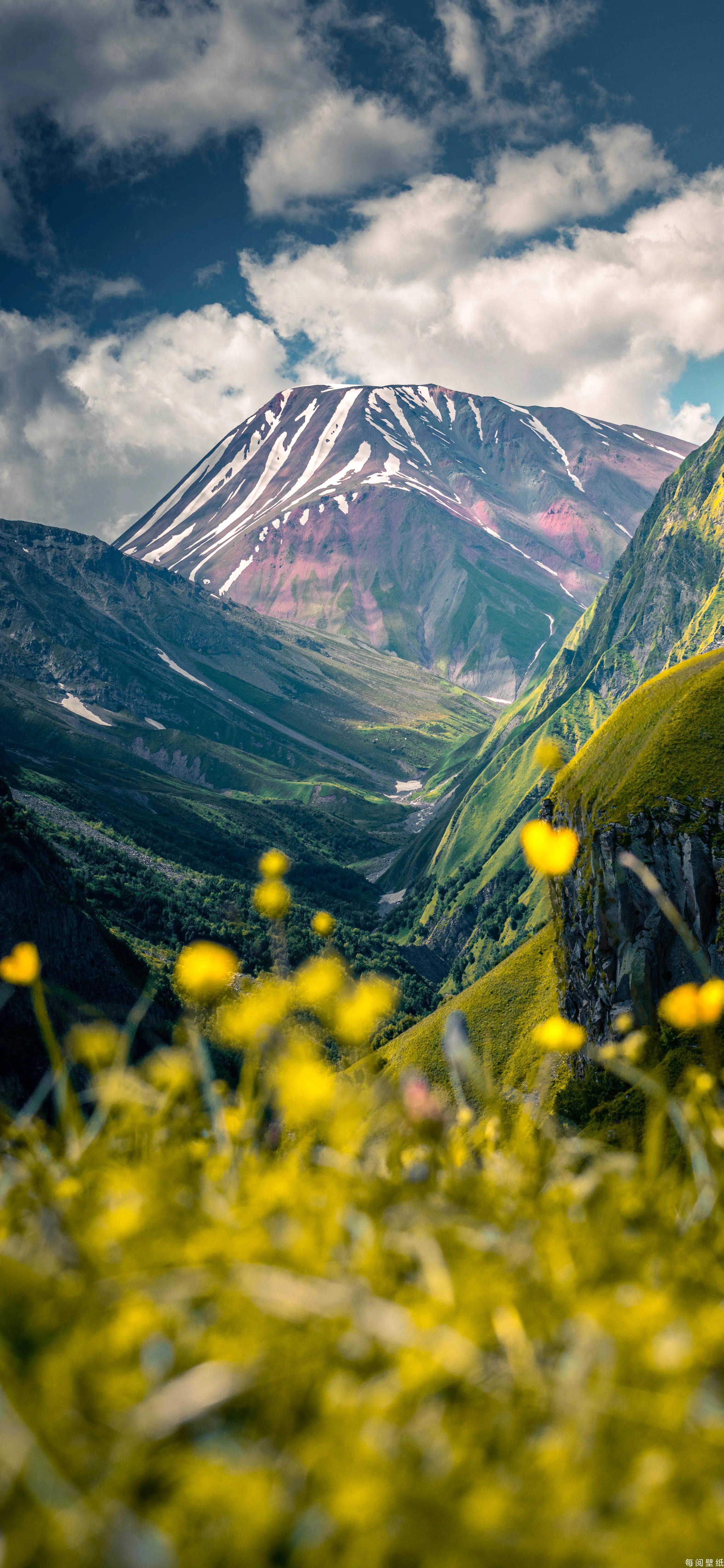今日風景壁紙分享 怪獸也很忙 Mdeditor