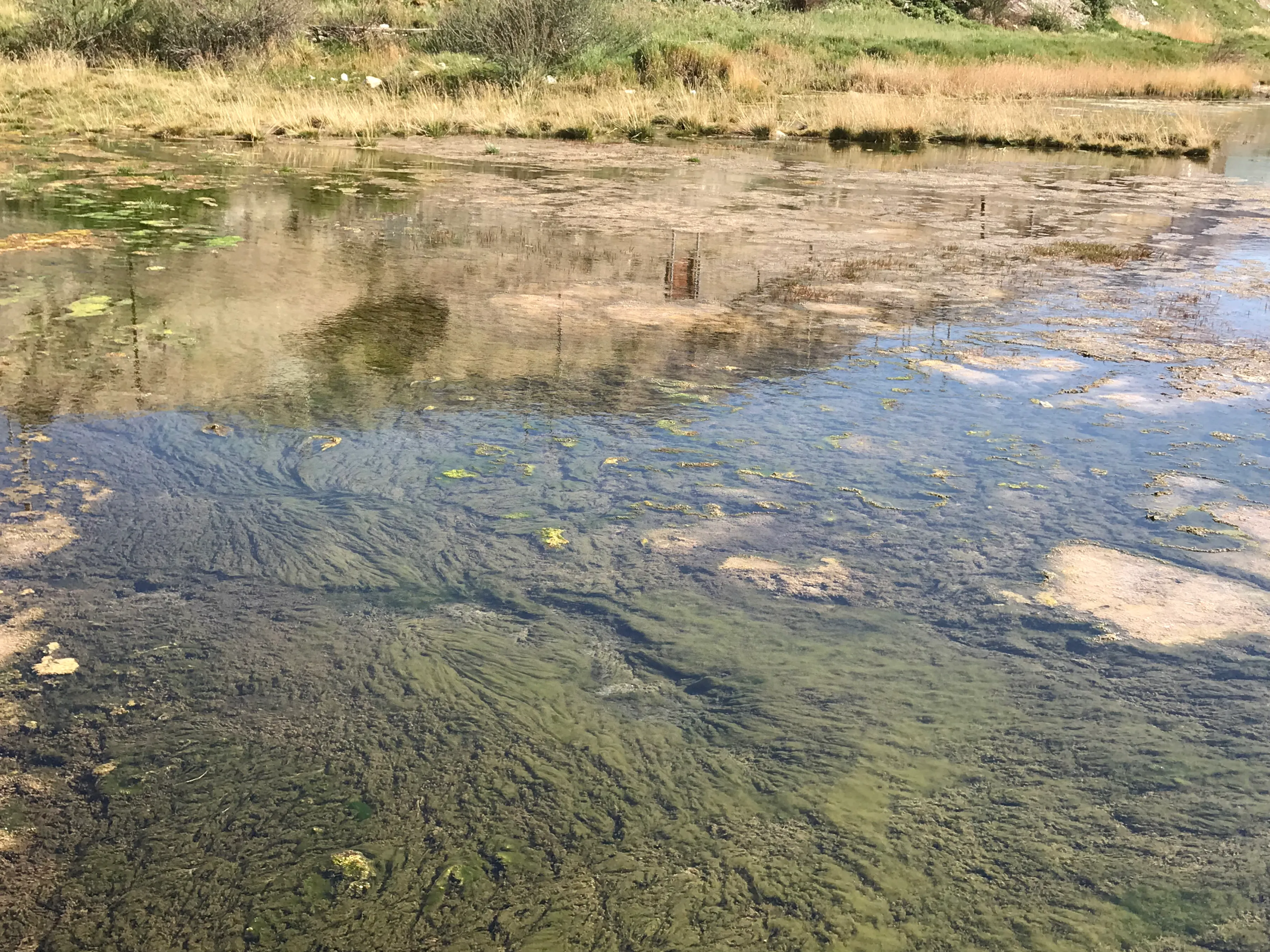 Colorful Qaidam (6) Golmud