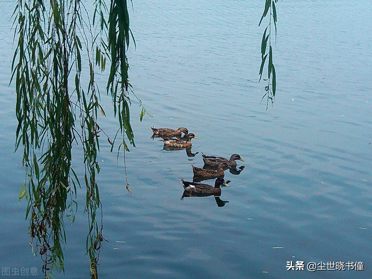年仅13岁的鱼玄机，写下了一首经典的五律，连温庭筠都自叹不如-第6张图片-非凡网