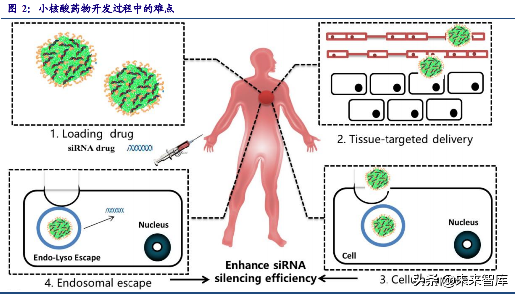 医药行业专题研究报告：小核酸优质赛道分析