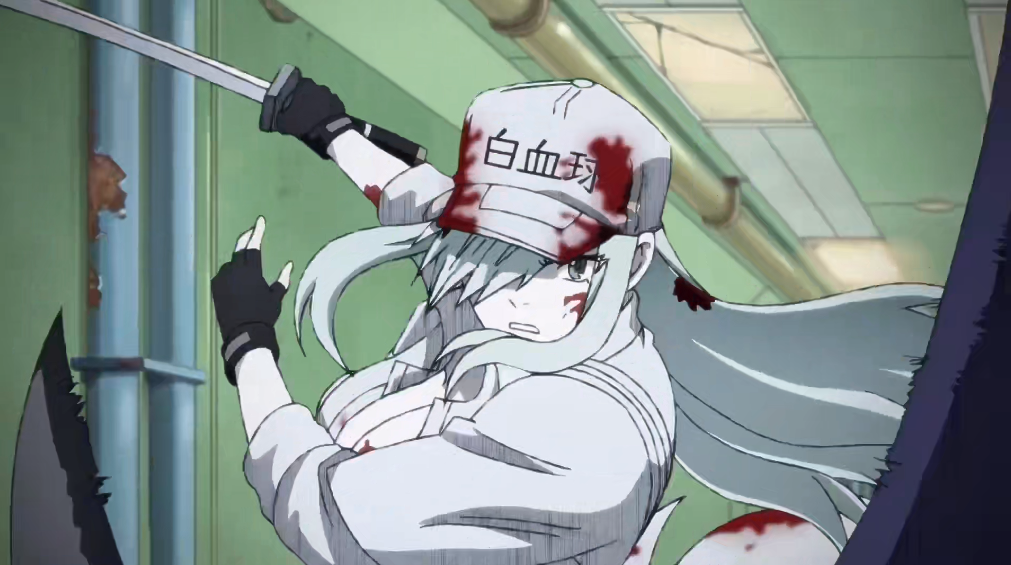 《工作细胞》第二季和black形象对比,白细胞秒变御姐