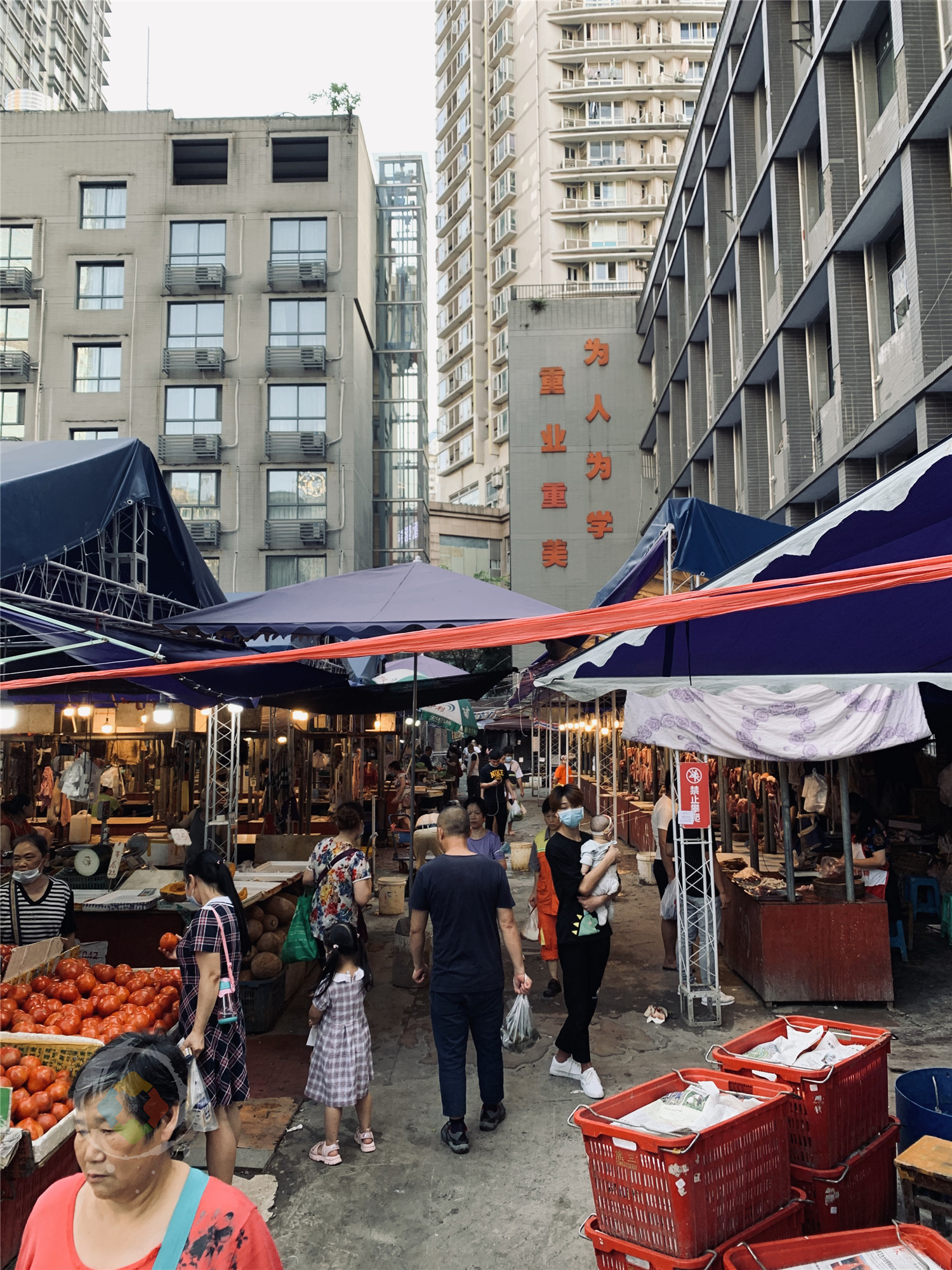 解放碑背后的老重庆：鲁祖庙菜市场，是山城市井文化的真实写照