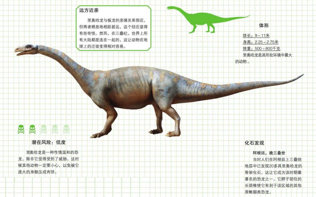 它也是一种原蜥脚类恐龙,但不同于槽齿龙,它无须躲避捕食者.
