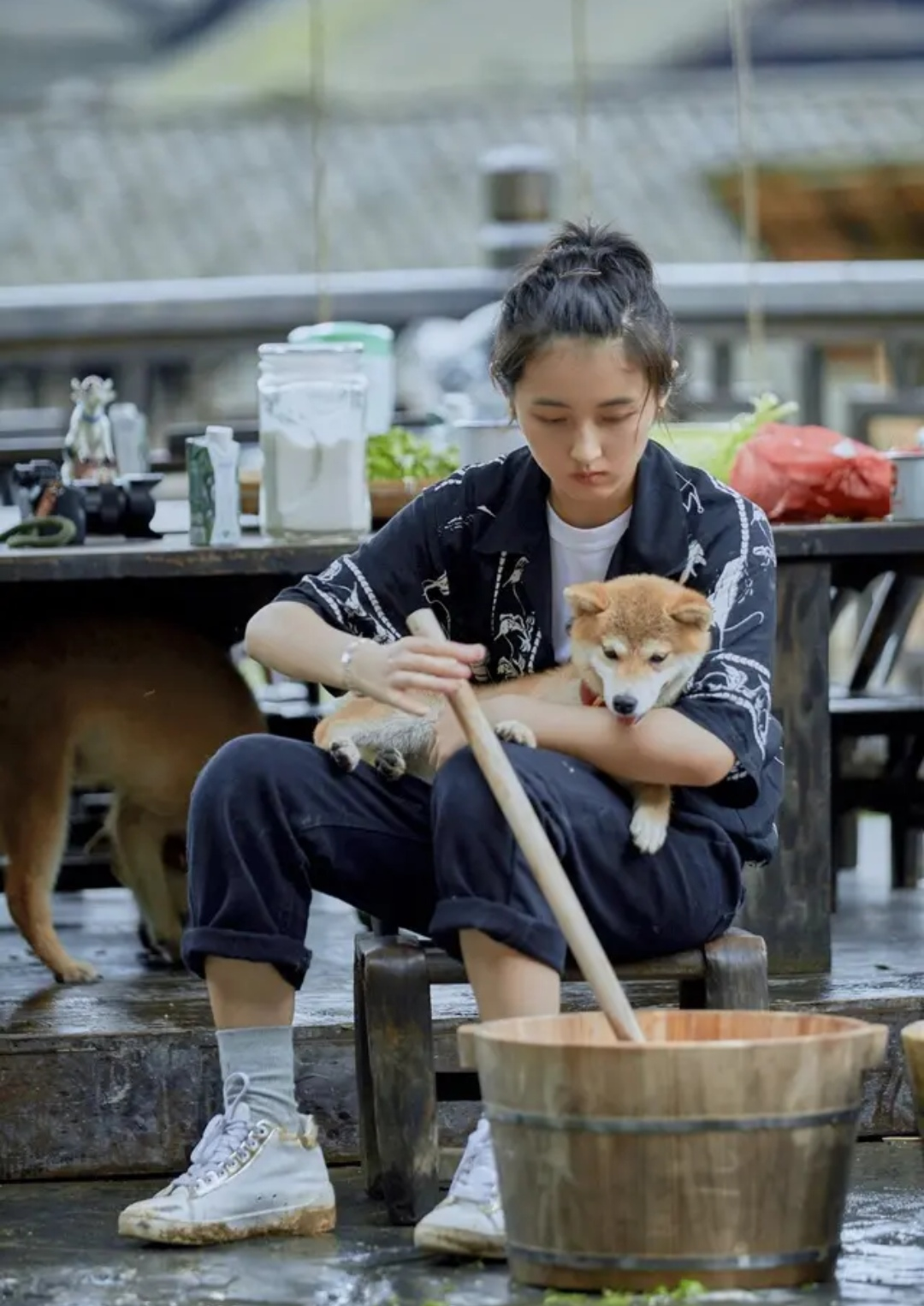 张子枫北电第三，黄磊成最大赢家，网友：一家