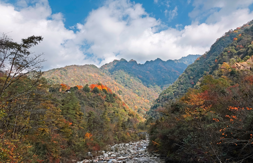 四川|媲美光雾山！平武这条沟，藏着一个惊艳的彩林秘境！