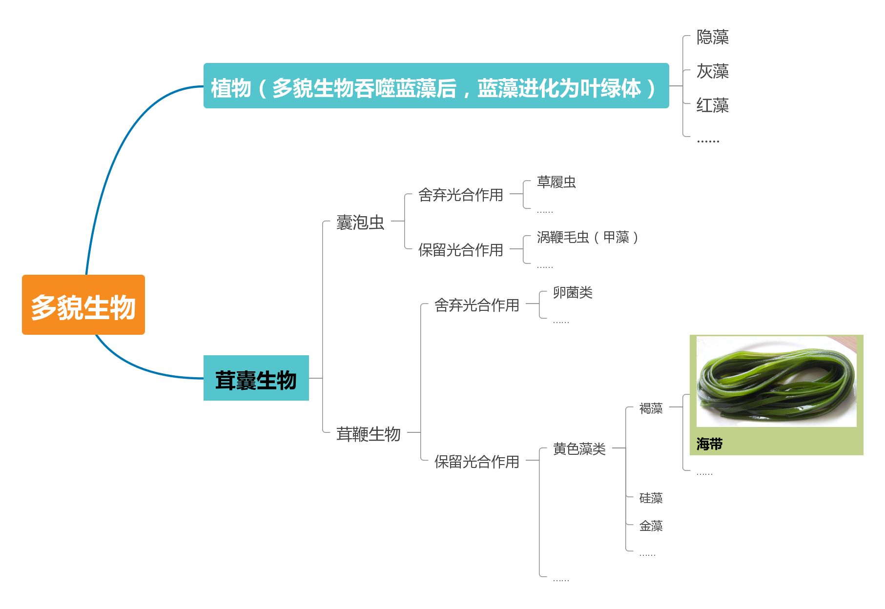 原来我们一直在吃的海带，从最初演化开始就和植物没有关系