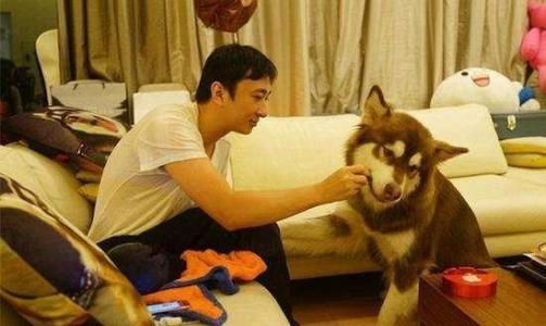 怪不得王思聪啥都不怕，背后不止有王健林，知道他的爷爷是谁吗？