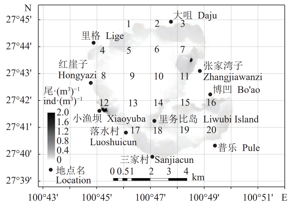 泸沽湖的财富：曾年产50万斤野生鱼，能否改造成“人工鱼库”？