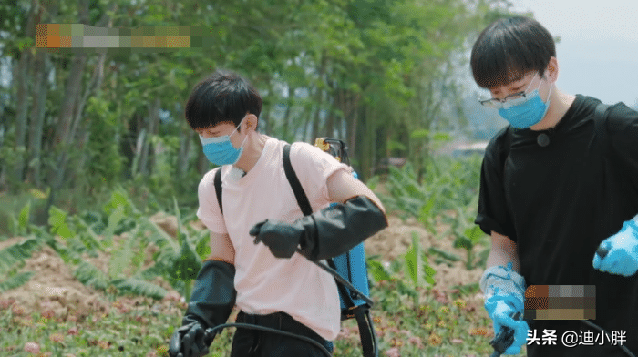 黄晓明《向往的生活》重要戏份被删，原来大家