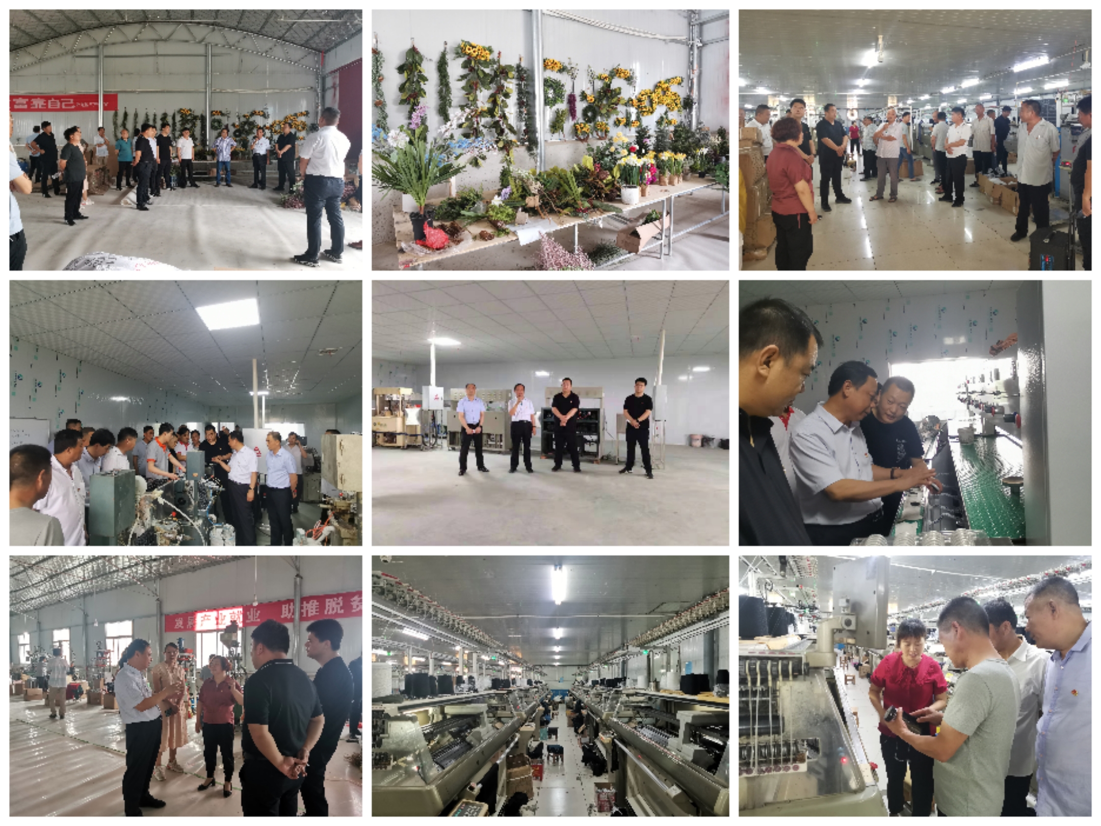 青华镇组织人大代表开展走访观摩活动