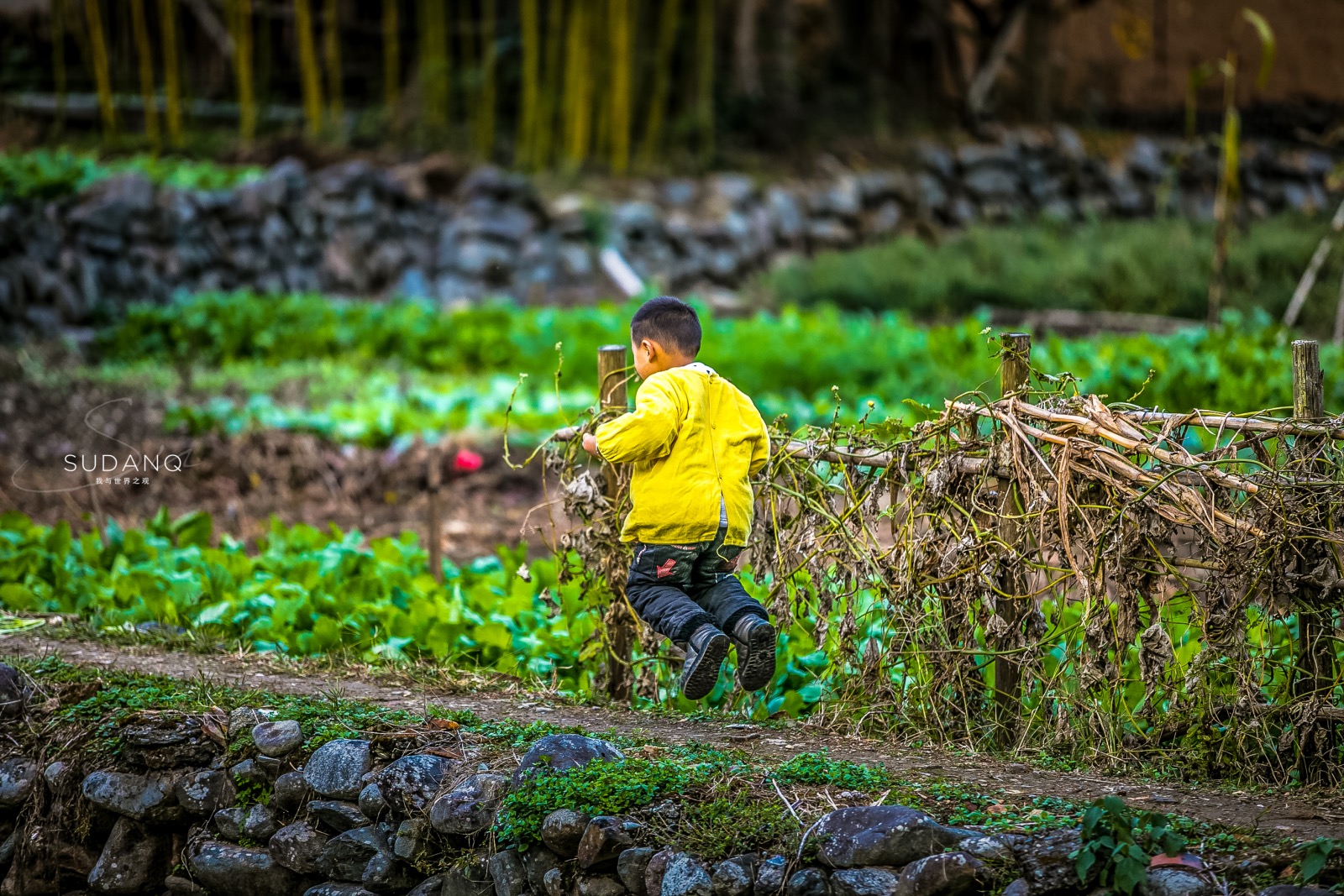 I've been obsessed with my life, I want to go to Huizhou: Recommend an ancient village that you have never heard of