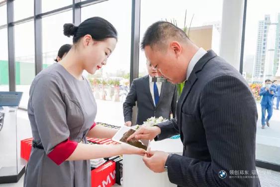 大河报汽车网