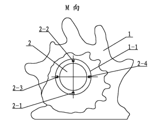 唐冠螺科卡通图片