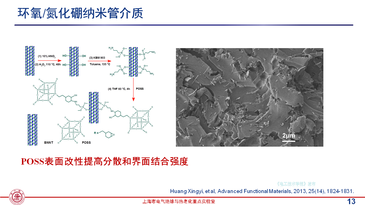 上海交通大学黄兴溢教授：导热绝缘复合电介质中的界面设计与实证