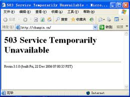 什么是HTTP 503错误？教你多种妙招修复它！