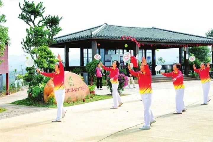 茶香迎客：紫金茶旅融合，走出绿色致富路