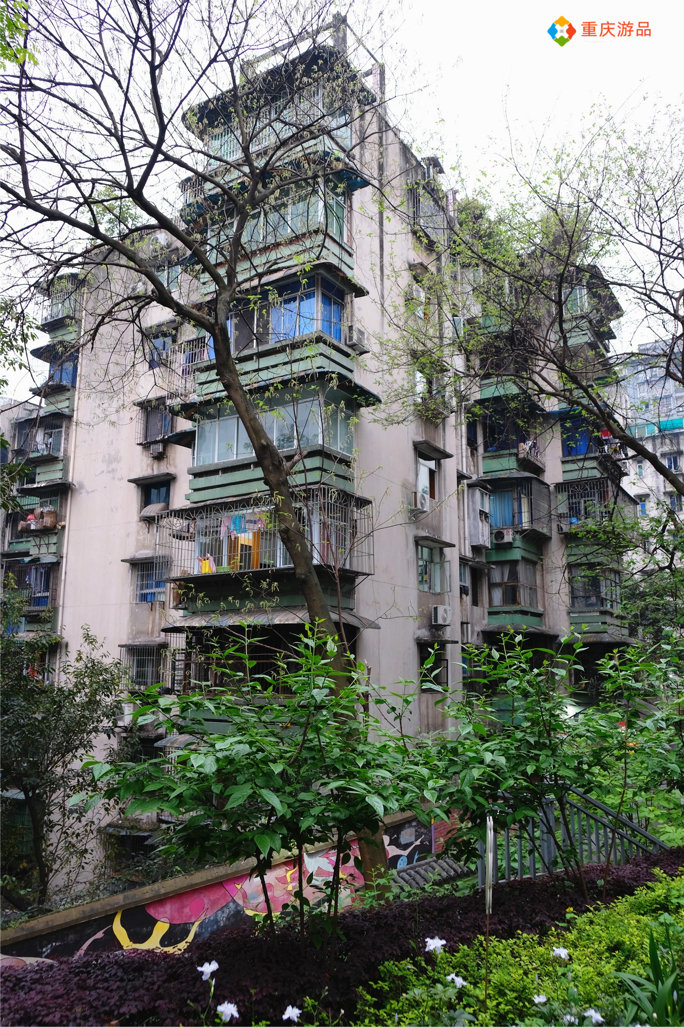 魅力渝中：重庆老社区的新生，枣子岚垭可不仅仅是名字好听