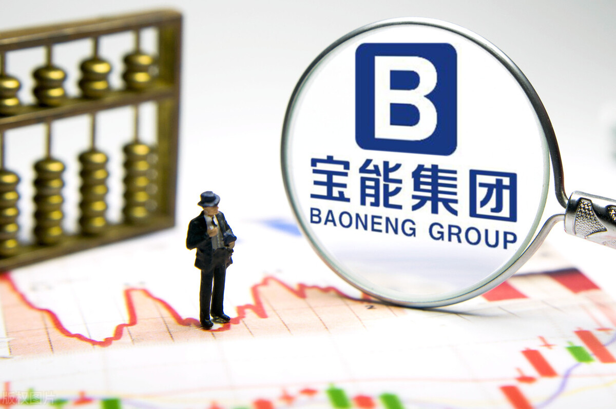 中新宝能投资集团，基本信息，公司简介