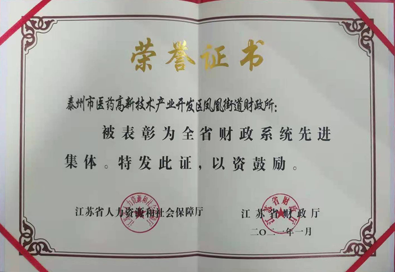 泰州医药高新区财政系统集体个人获“省先进”