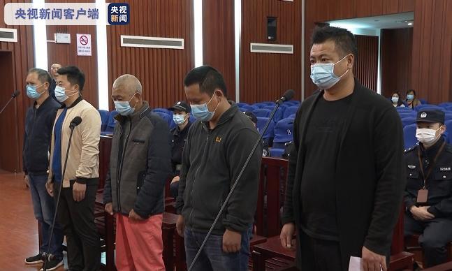 判了！赔40余万元 5成员均获刑 长江重大非法捕捞案宣判