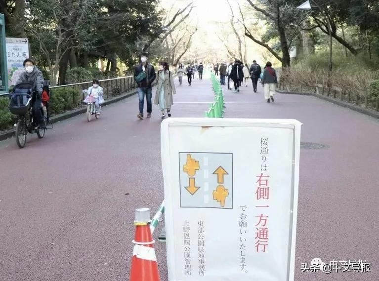 楊志寬 在日本哪些事情不能做 中文導報 Mdeditor