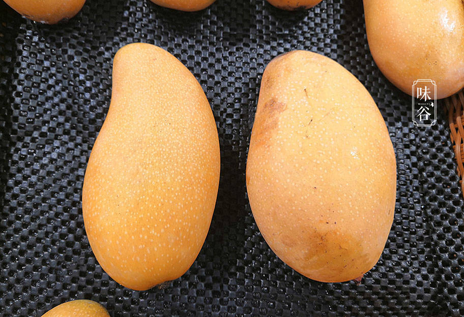 買芒果別只會挑大的，學會這4招，肉厚核薄香又甜，不花冤枉錢