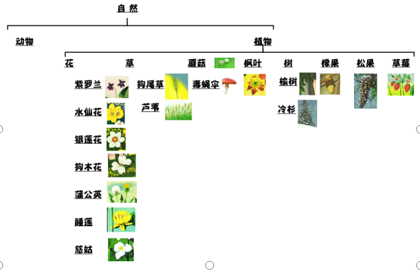 宝宝不爱看书？亲子伴读中妈妈的必修课学了没？