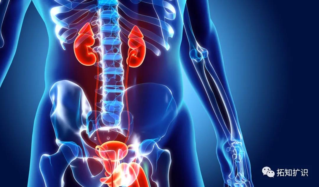 還在習以為常地熬夜？ 卻不知你的身體已經悄然垮掉