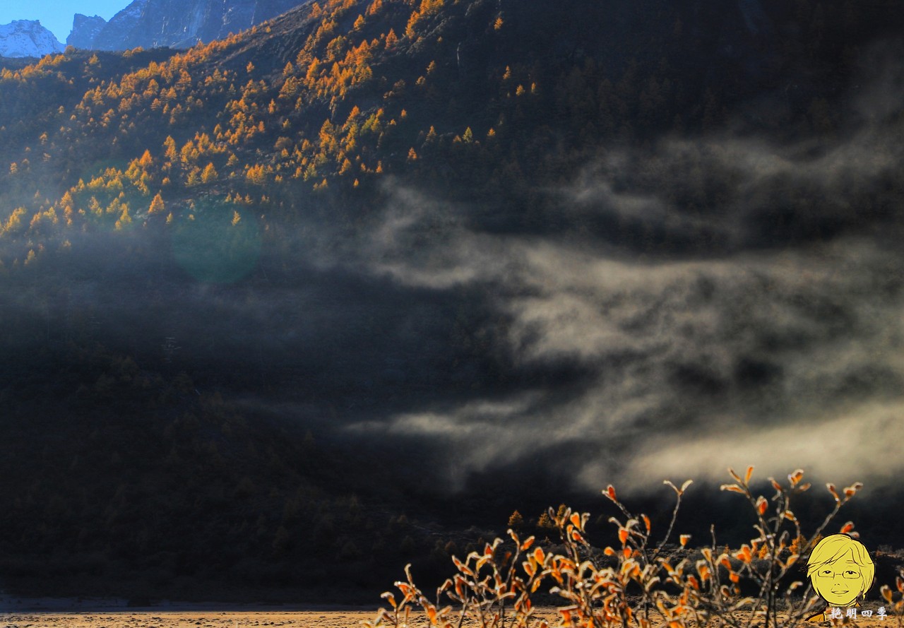 The golden autumn is here again, if you want to go to Aden, Daocheng, you should set off