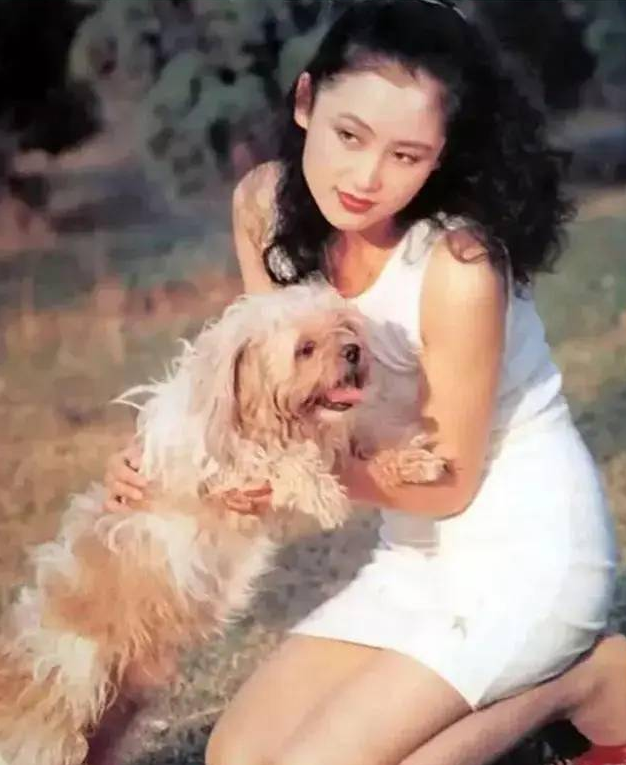 靠怀孕抢走陈凯歌，嘲笑倪萍是老女人，陈红怎么越来越像倪萍了？