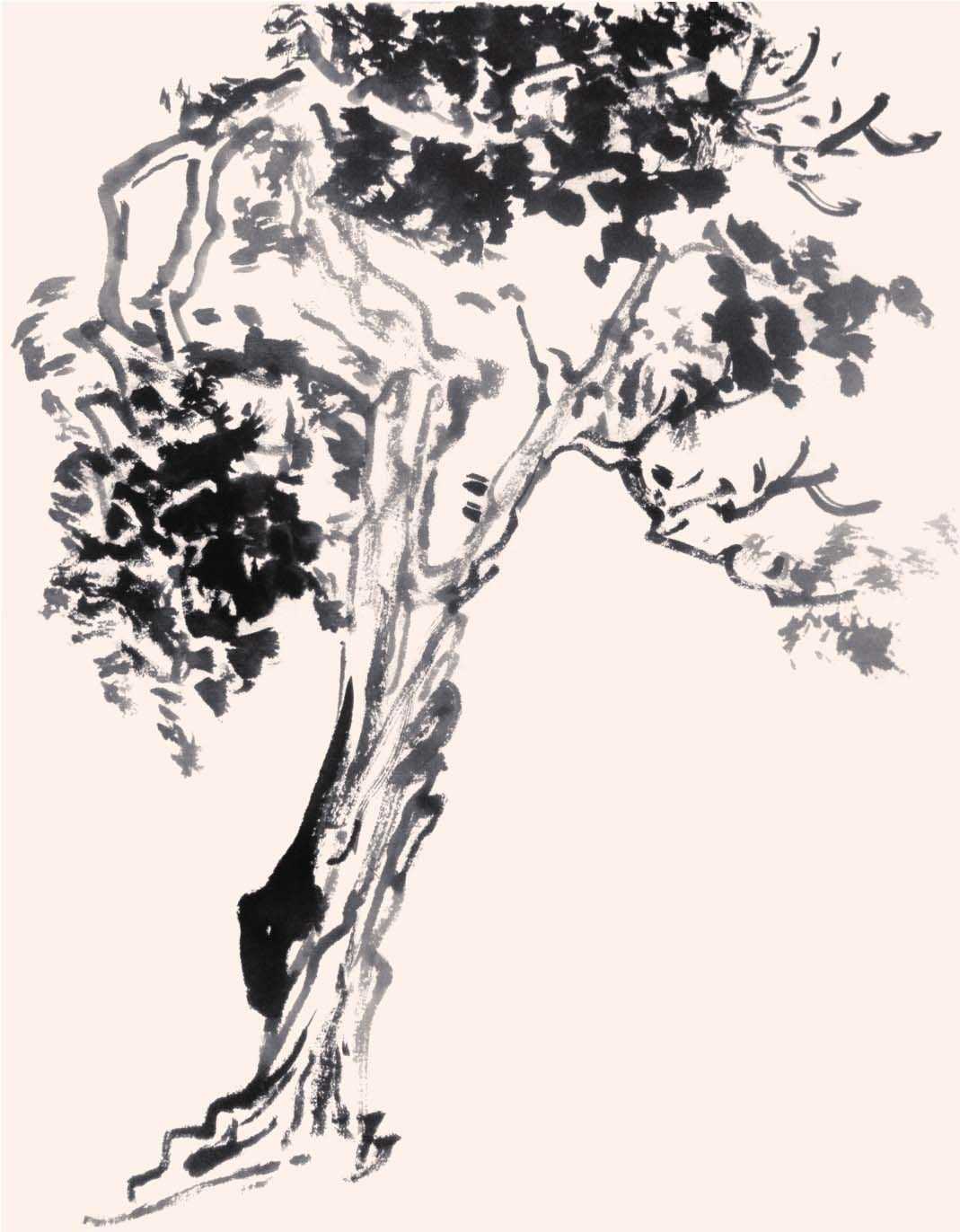 零基础国画教程:分步骤图解教你画3种常见树画法,简单易学