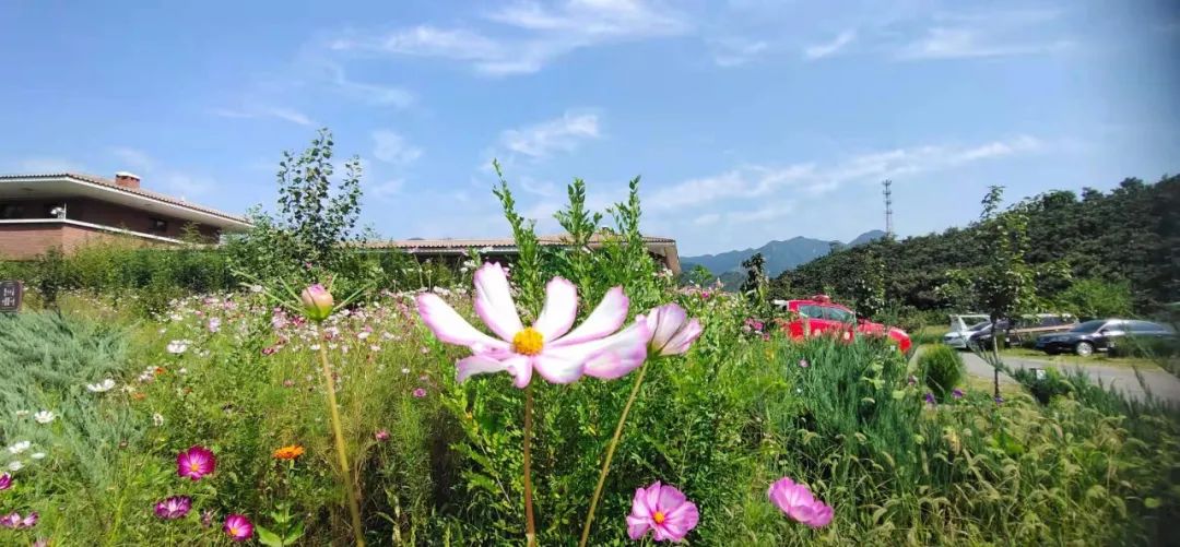 教师节 | 老师游梨木台免门票