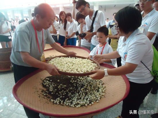 一文让你看懂，茉莉花茶是怎么制作出来的