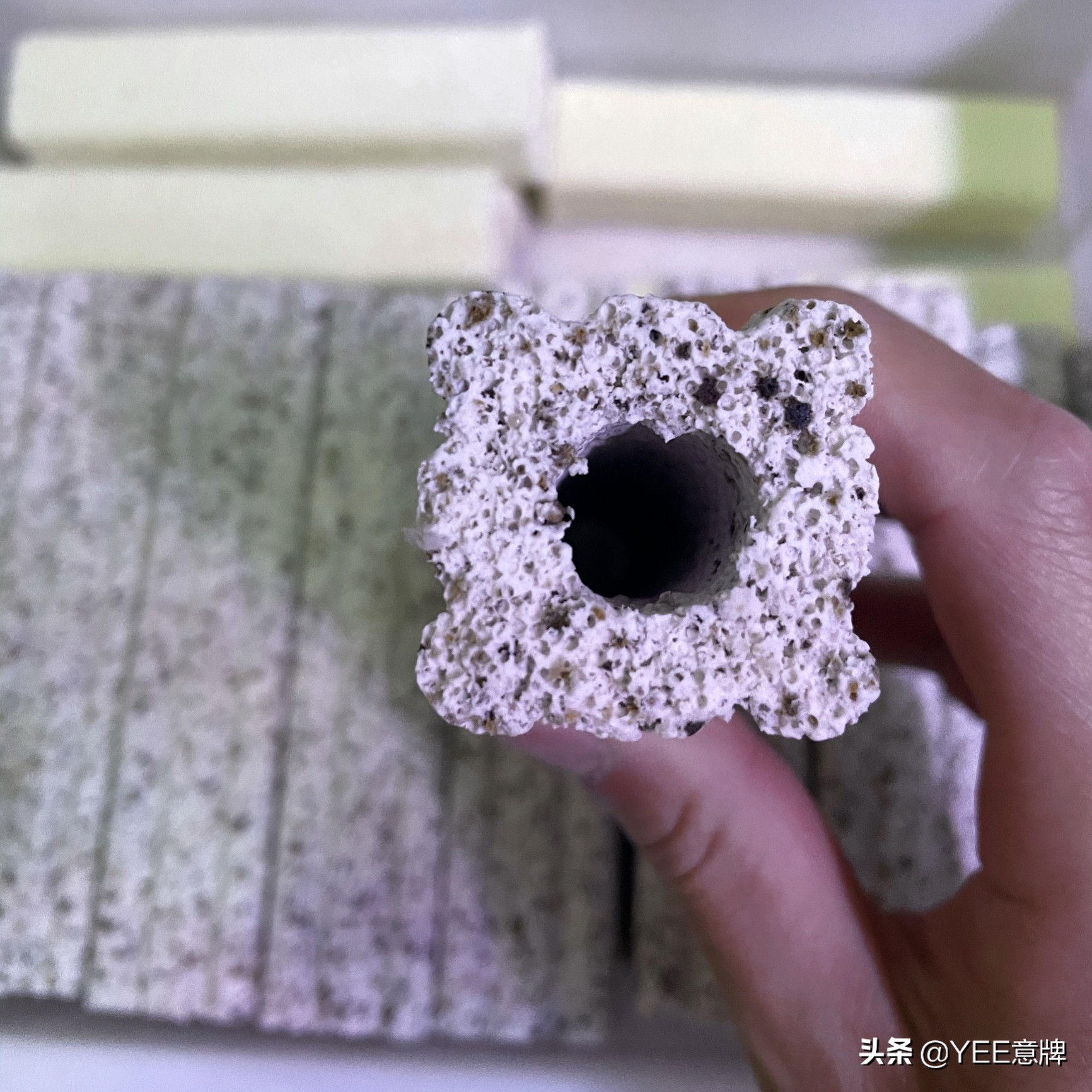 第一次養魚，記住魚缸濾材擺放順序，少出錯