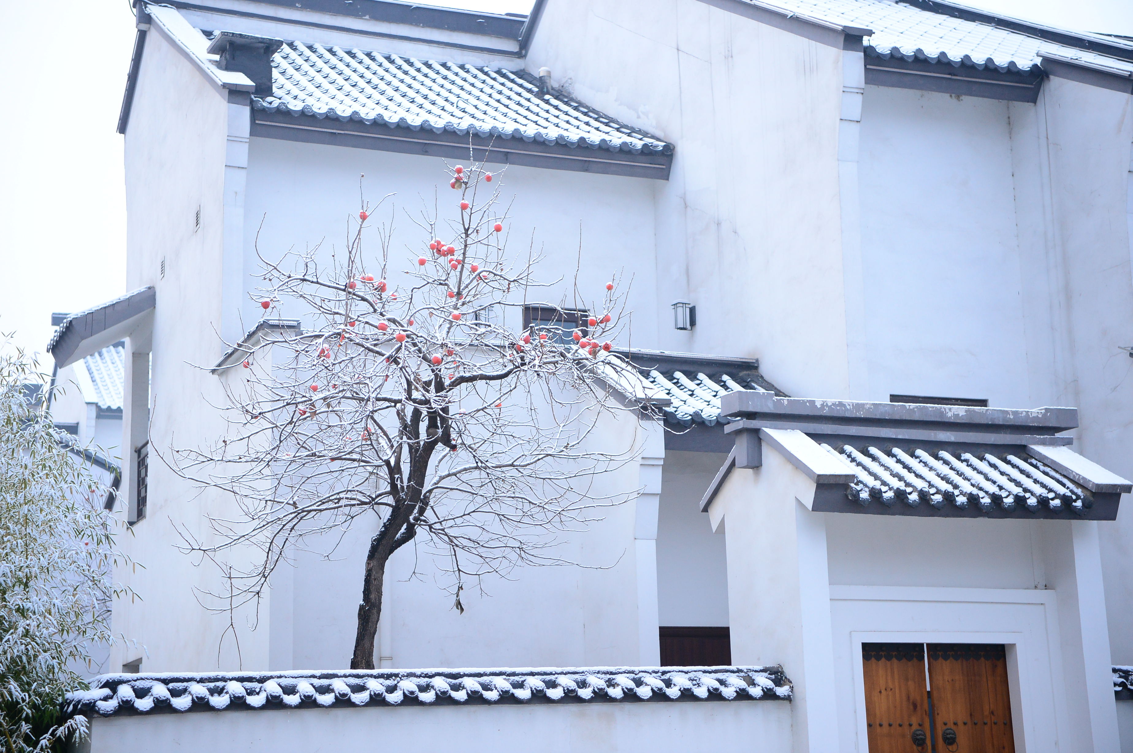 赤水湾：《雪》