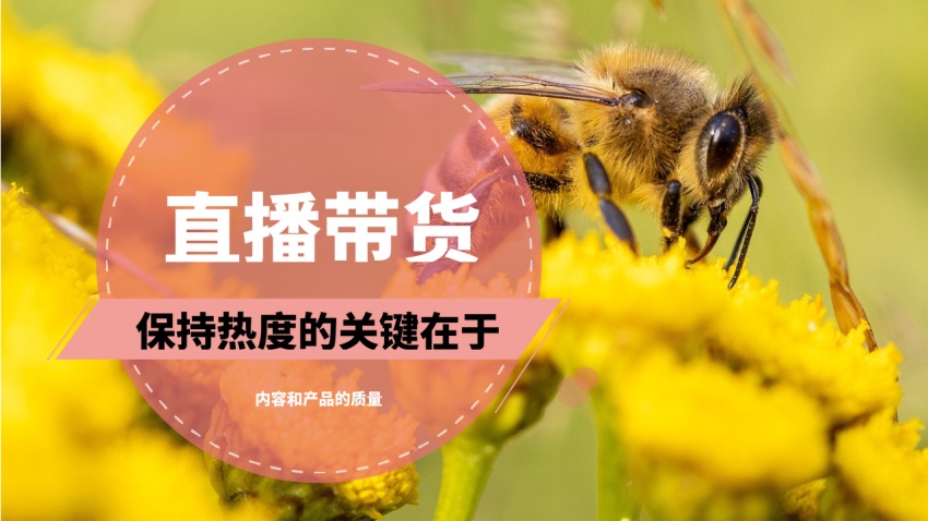 直播带货保持热度的关键取决于内容和产品的质量